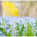 계절세탁소 이미지