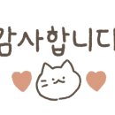 보스턴&777보스턴&트리플세븐 이미지