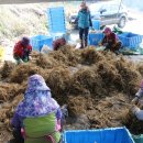 새롬제약 이미지