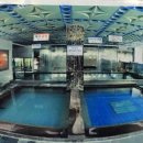 강동해수온천 이미지