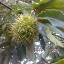 혜성 당구장 이미지