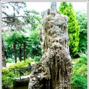 오아시스호텔 이미지