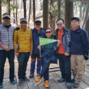 부산진초등학교 이미지