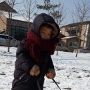 데굴데굴 이미지