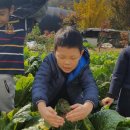 옥신농장 이미지