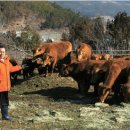 정남 목장 이미지