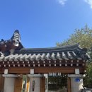 울산한옥카페_싱귤러커피 방문 솔직후기!!!