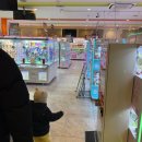 놀라운드 | 삿포로 실내 놀 거리, 할 거 없을 때/ 라운드 원 프리쿠라 후기/ 삿포로 인생 네 컷, 인형 뽑기