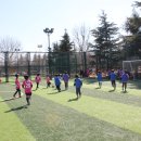 코이디아 이미지