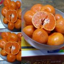 영희농장 이미지