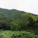 신화임업 네이버블로그