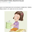 [단독] 솜방망이 처벌에.. 편법 영어유치원 급증 이미지