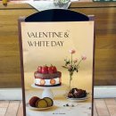 까레몽 | 대구서구빵집 까레몽 평리동 초코케이크 픽업 후기 두바이쫀득쿠키까지