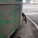 우솔동물병원 이미지