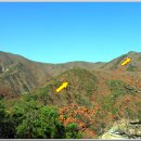 대운산자연휴양림 이미지