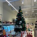 독립 트레이닝 센터 아산 배방점 이미지