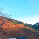 정진농장 | 가평캠핑장 가평랜드 캠핑 앤 카라반 뷰 좋고 시설 좋은 캠핑장 D-6사이트 2박3일 이용후기