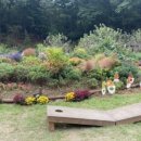 흰돌농장 이미지