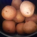 서홍농장 이미지