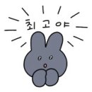 코스모즈