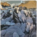 은광수지 이미지