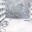 부산여자고등학교 이미지