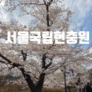 국립서울현충원 | 서울 국립 현충원 방문 후기 조용한 산책과 역사적 의미를 함께 느낄 수 있는 곳