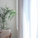 마이꾸따 이미지