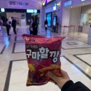 두두카써비스 | 로버트 패틴슨 영접 / 검은 수녀들 VIP 시사회 / 성심당 딸기시루