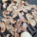 황산산오리 이미지