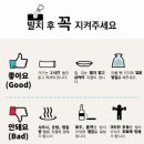 지디치과의원 이미지