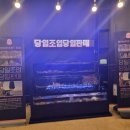 레인보우조개 | 애견동반가능한 조개구이집 _ 월성동 레인보우조개구이