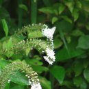 종자골 산내음펜션 이미지