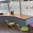 보리네펫미용 이미지