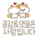 도안에비뉴부동산공인중개사사무소 이미지