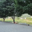 벌곡오토캠핑장 이미지