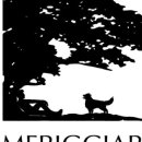 메리지아레 이미지