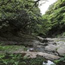 계곡사랑 이미지