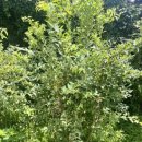 아랑민박 이미지