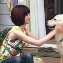 강아지와 나 이미지