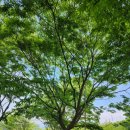 느티나무2농장 이미지