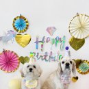 넌나의가족 이미지