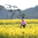 맛터식당 이미지