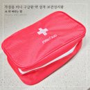 하천보건진료소 | 가정용 미니 구급함 약 상자 보관정리함 케이스 &amp; 약 버리는 법