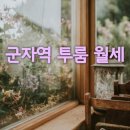 11215-군자-128 네이버블로그
