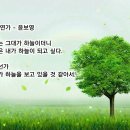 고요한아침