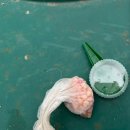 대농2농장 | 다이소 씨앗파종기 텃밭 가드닝 용품