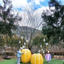 남성주(양평) 주유소 이미지