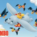 Dumbo 이미지