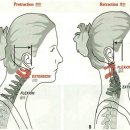 바른체형요가A 이미지